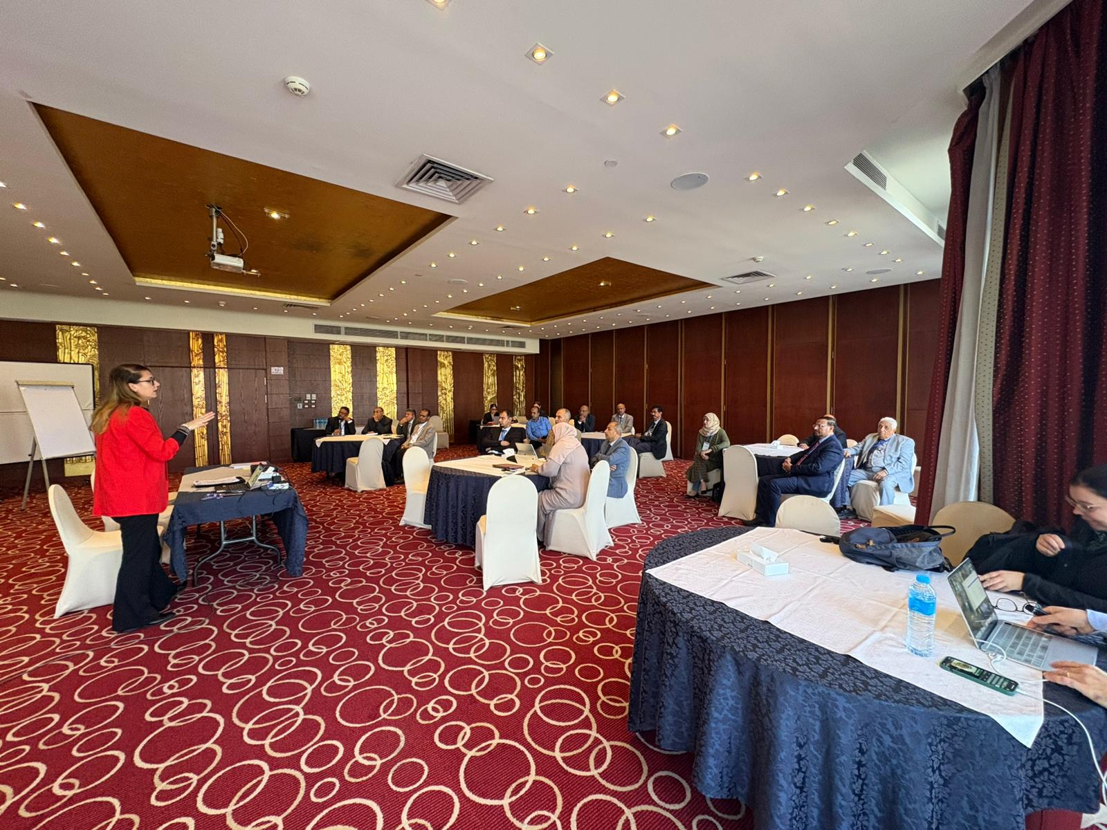 View of Safeguards Guidance - Application of the Article 6.4 Sustainable ...